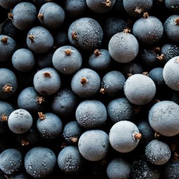 Смородина черная