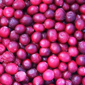 Клюква садовая